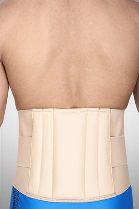 EZYFIT Lumbo Sacral Support Belt (Waist & Back Support Belt) - for Men & Women, Cotton Fabric (L) EZYFIT Lumbo Sacral Support Belt (Waist & Back Support Belt) - for Men & Women, Cotton Fabric (L)
