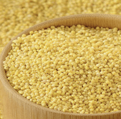 Thinai (Foxtail Millet) rice