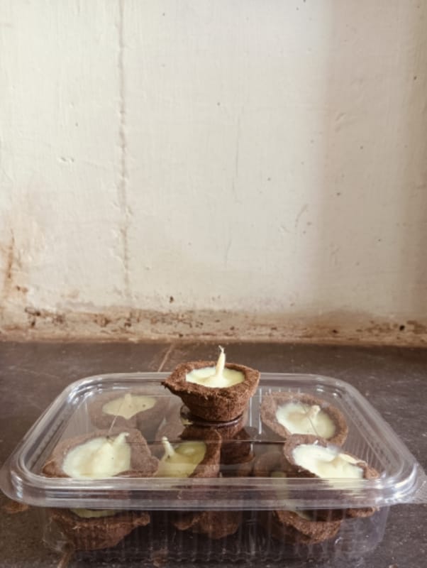 Gober Dhoop diye filed 9 Pcs