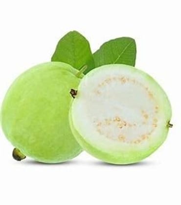 Fresh Big White Guava  (Juicy & Vitamin C Rich) 500 gm