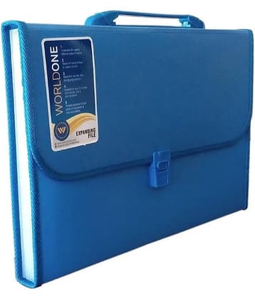 GMPex 13 Pocket File Folder with Handle and Buckle Closure (Mix Color) Assorted/Multicolour File Folder ( Pack of 1 )