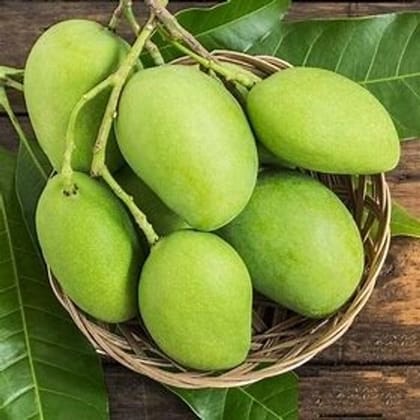 Raw Mango (Kaccha Aam)  | Tangy & Fresh 500gm