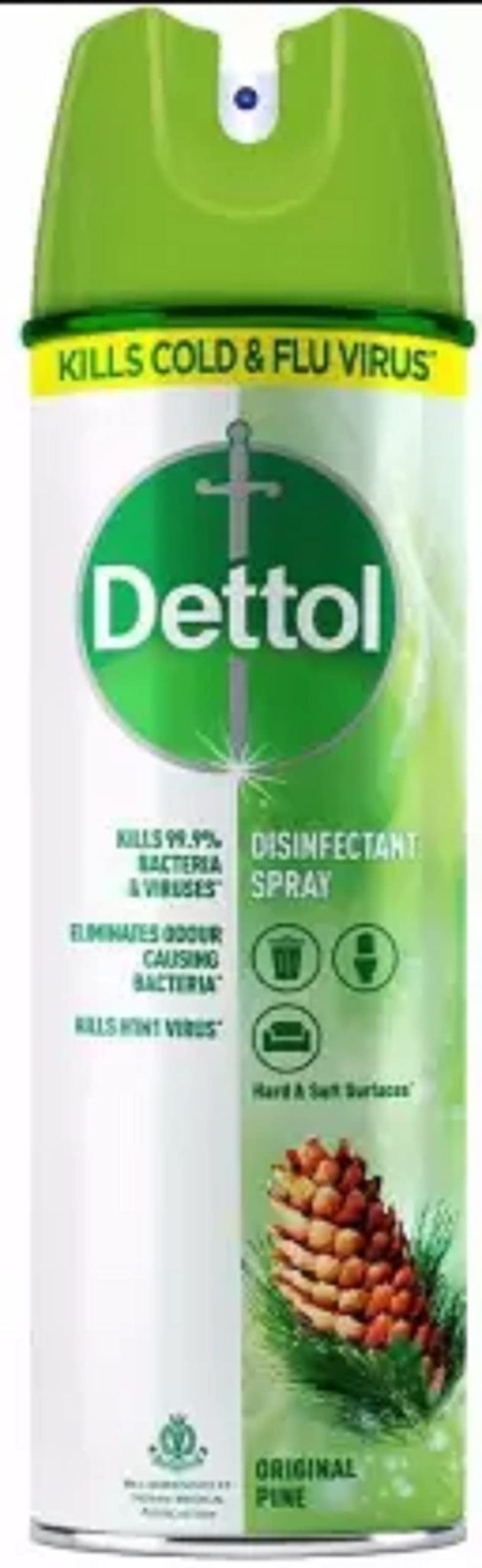 Dettol pine Spray (170 g)