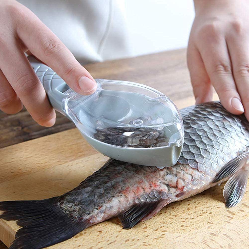 DHRUVINSRI Fish Scale Scraper – Peeler Tool for Effortless Fish Cleaning, Ideal for Kitchen and Seafood Preparation