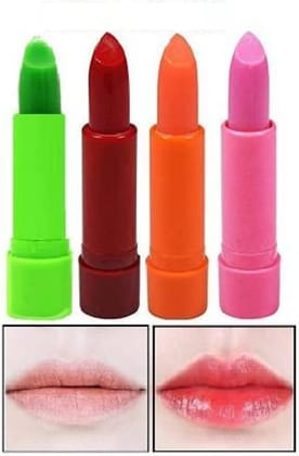 Elecsera 3D Natural Lip Balm Long Lasting Lip Makeup Lip Balm FRUITY (Pack of: 4, 12 g)