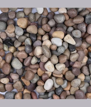 Green plant indoor Natural Stones