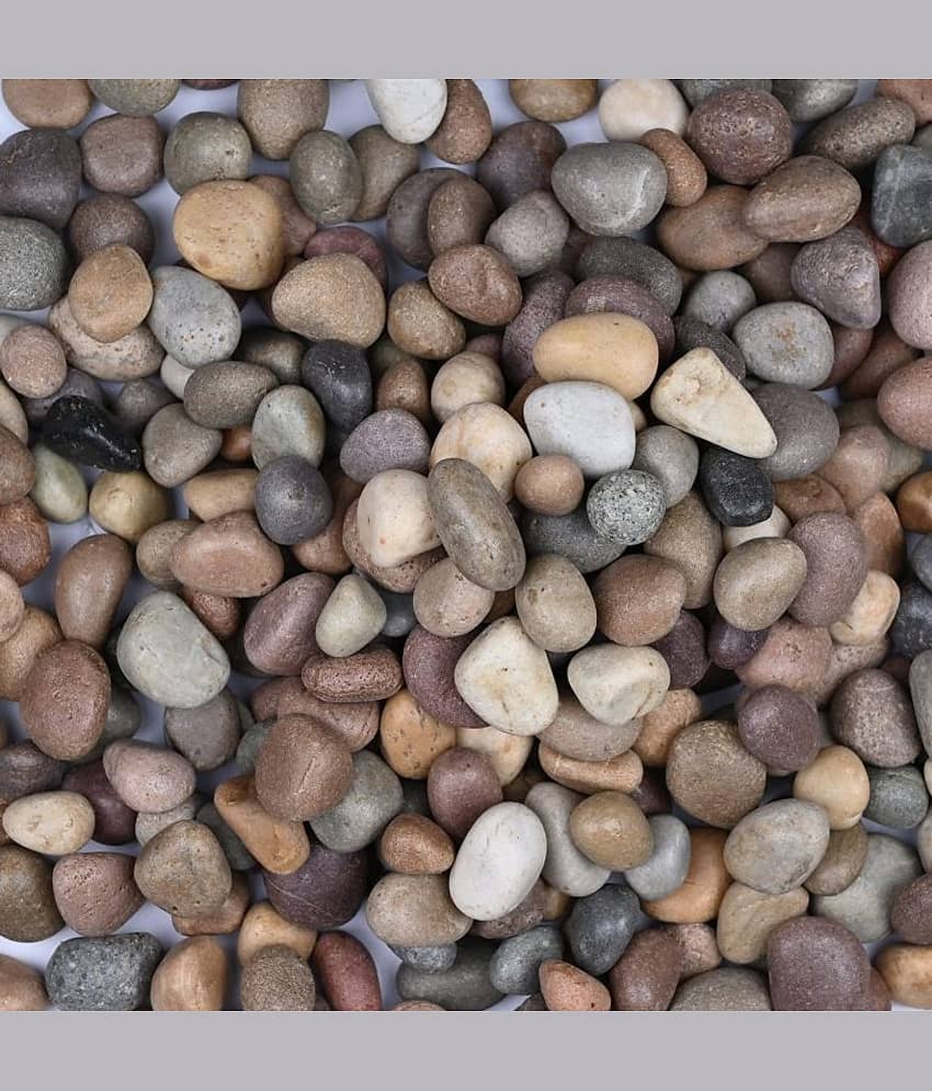 Green plant indoor Natural Stones