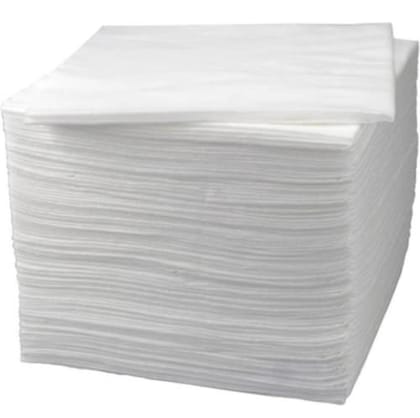 Elecsera Dry Tissue Paper (7 * 8 in) (100 Tissues)