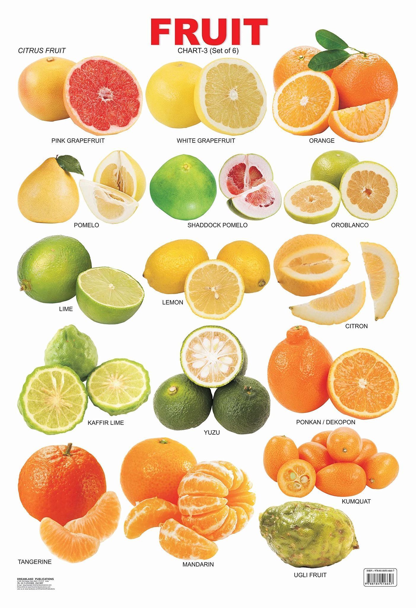 Fruit Chart - 3 Educational Wall Chart For Kids - Both Side Hard Laminated (Size 48 x 73 cm) [Poster] Dreamland Publications