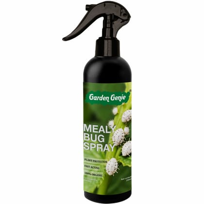 Garden Genie Mealy Bug Killer Spray for Plants 250ml | 100% Natural White Bug Insecticide for Plants Home Garden | No Harmful Chemicals | Pet & Children Safe Garden Genie Mealy Bug Killer Spray for Plants 250ml | 100% Natural White Bug Insecticide for Plants Home Garden | No Harmful Chemicals | Pet & Children Safe