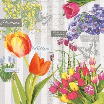 Decoupage Napkin / Tissue papers - 33cm by 33cm - GT3264