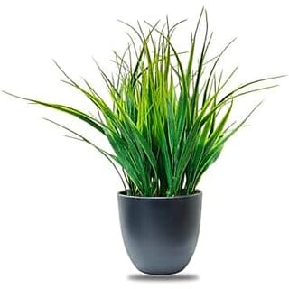 De Gardenia Artificial Plants - 30 cm Small Fake Plant with Green Wheat Grass Guldasta | Decorative Item for Home Office Desk Bathroom | Black Pot Included