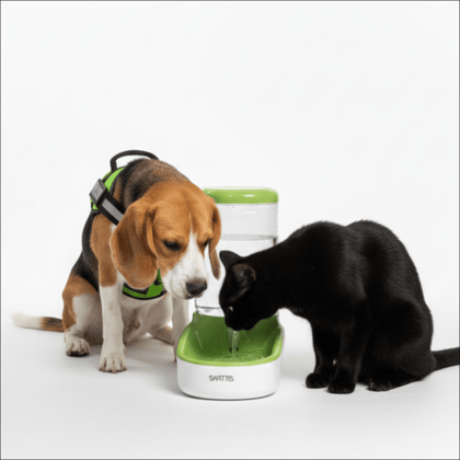 Skatrs Water Dispenser for Dogs and Cats Skatrs Water Dispenser for Dogs and Cats - 3.8L