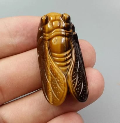 SahajHast 3D Carved Natural Yellow Tiger Eye Cicada Pendant- Lucky Charm Gift