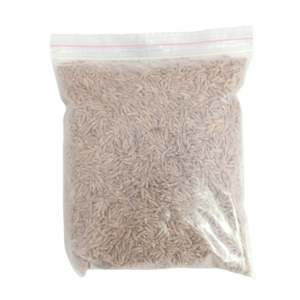 Jeera - 100 gm - 1 Pack