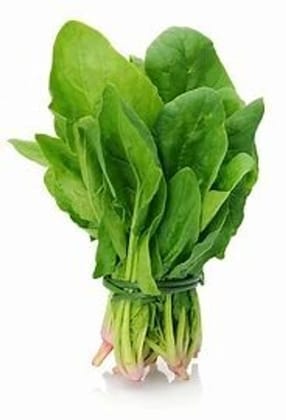 Spinach (Palak) - 1 Bunch