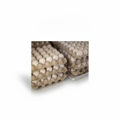Farm Fresh White Eggs - 100 gm - 2 units of egg trays