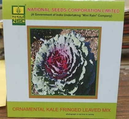 NSC Ornamental Kale Fringed Leaved Mix Seed, 3gm