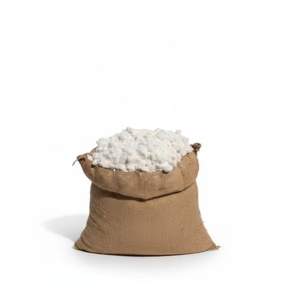 Raw Cotton in Jute Sack - 10 kg - One jute sack containing 10kg of raw cotton