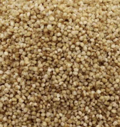 Varagu (Kodo Millet) rice