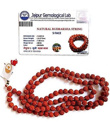 Rudraksha Mala Pack of 1 - 108 Beads