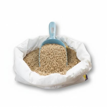 Whole Wheat Flour - 5 kg - One bag of whole wheat flour