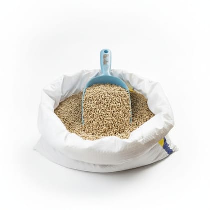 Premium Quality Wheat Grains - 10 kg - One 10kg bag of wheat grains