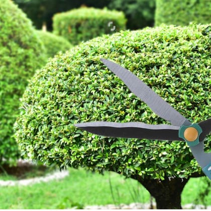 Garden Big Scissor Garden Big Scissor