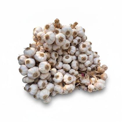 Fresh Garlic Bundle - 1 kg - One bundle of garlic bulbs