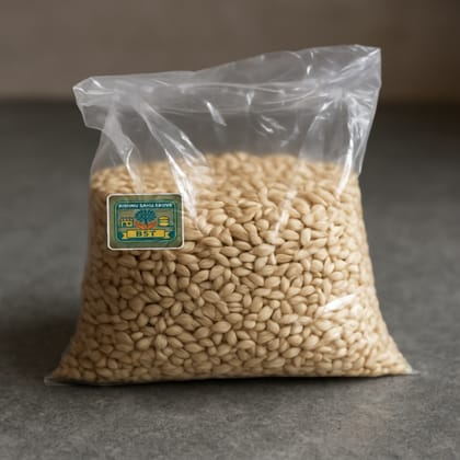 Bishnu Sahu Trove's premium barley grains