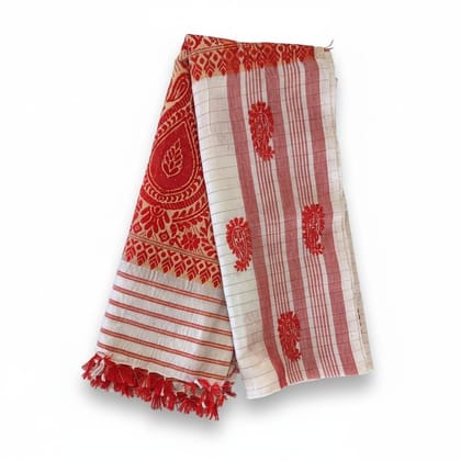 Red and White Ethnic Saree