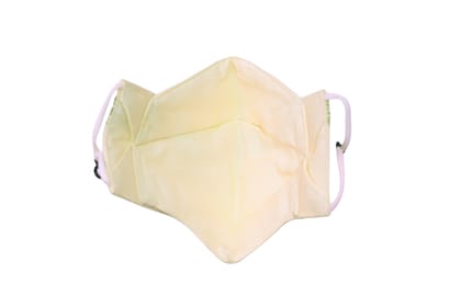 Kasuti Work Mask