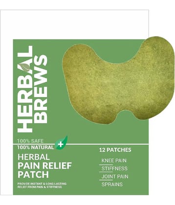 GATIZEN Herbal Knee Pain Relief Patch Paste 10 gm Pack Of 1