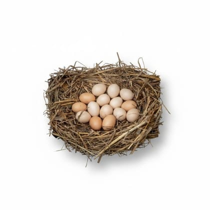 Farm Fresh Brown Eggs - 2 kg - 20 fresh eggs