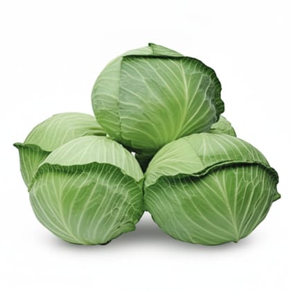 Fresh Green Cabbage - 1 kg - One head of cabbage