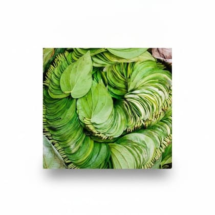 Fresh Betel Leaves (Paan) - 700 gm - One bundle of fresh betel leaves