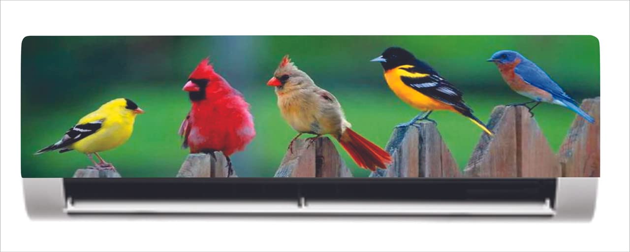 DreamKraft Beautiful Colorful Birds AC Sticker (Multicolor PVC Vinyl, 30cm X 91cm)