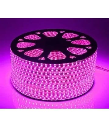 QUALSTAR - Pink 3Mtr String Light ( Pack of 1 )