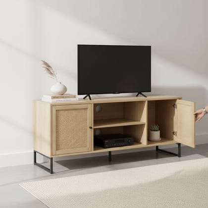 Rattan & Wood 2-Door TV Cabinet