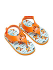 ... ...
