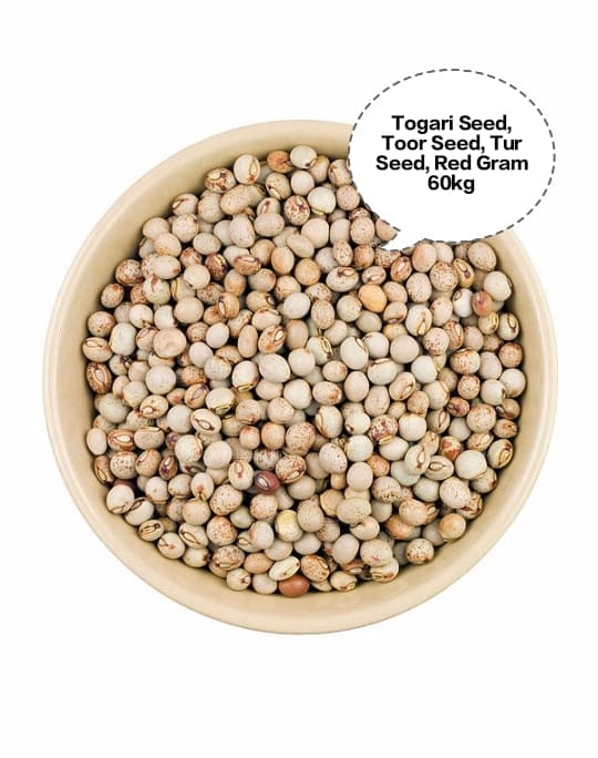 Togari Seed, Toor Seed, Tur Seed, Red Gram Seed, Pigeon Pea Seed 60kg