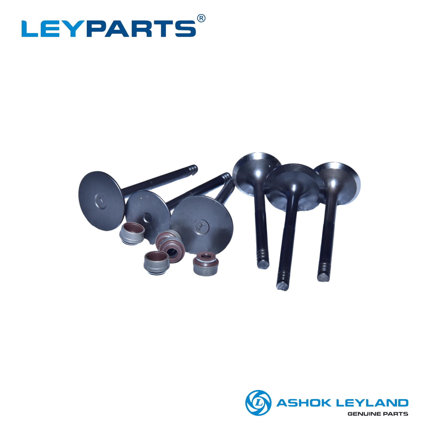 COMP VALVE KIT P5106054 - Dost variant and Bada Dost