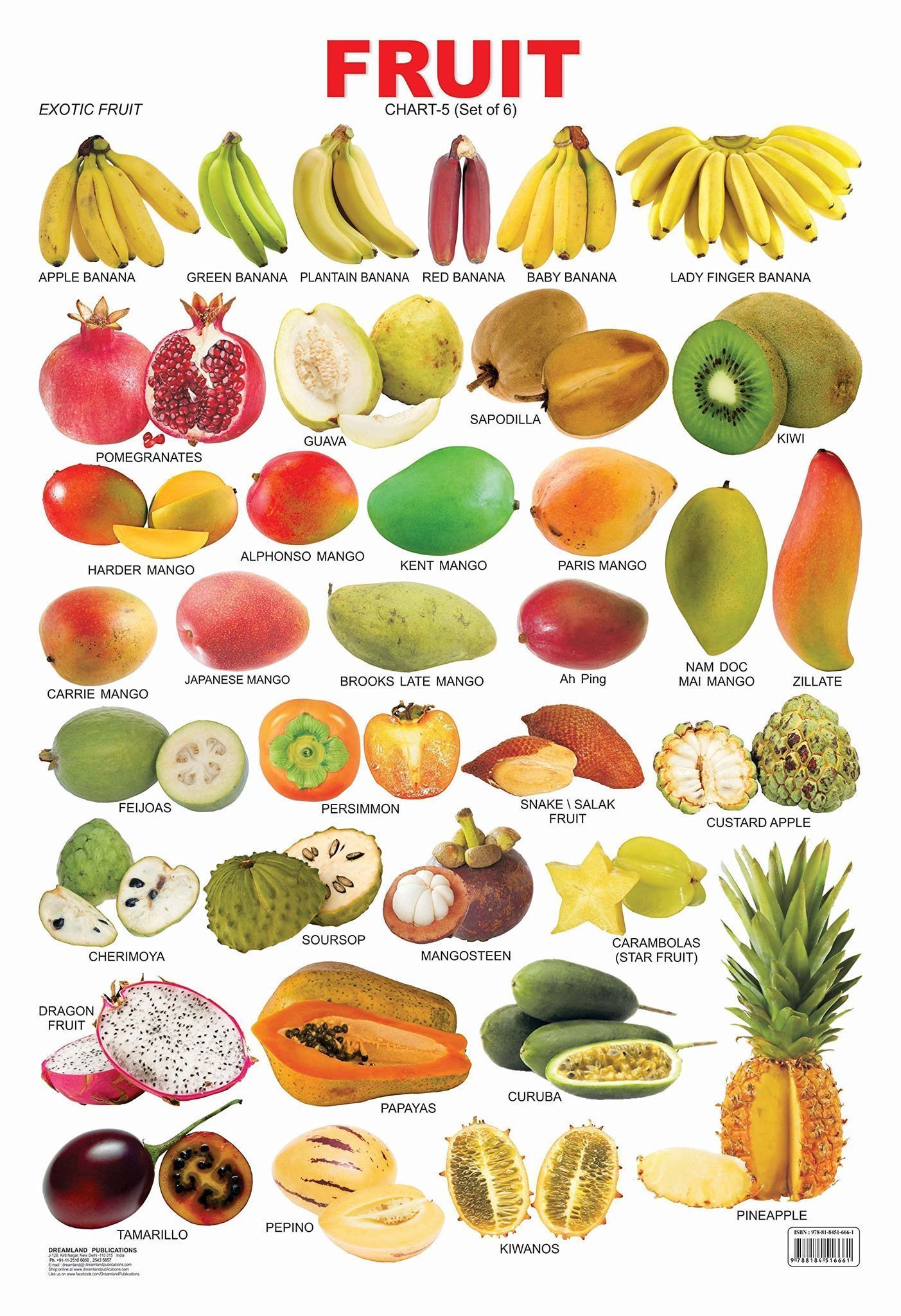 Fruit Chart - 5 Educational Wall Chart For Kids - Both Side Hard Laminated (Size 48 x 73 cm) [Poster] Dreamland Publications