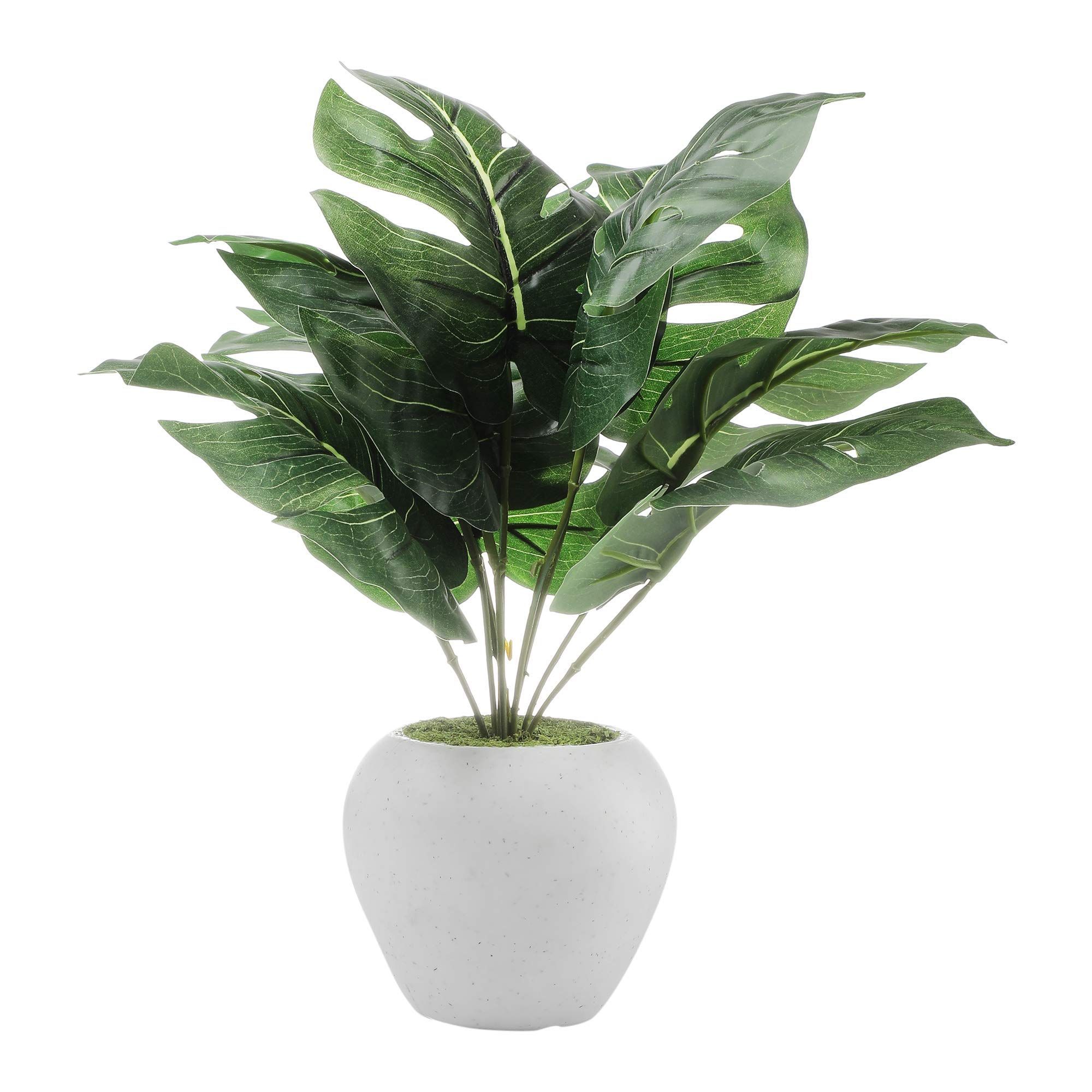 Foliyaj Artificial Monstera Plant in Plastic Pot | Decoration Items for Living Room | Decorative Table Top Indoor Plants Bonsai for Office Desks & Counters