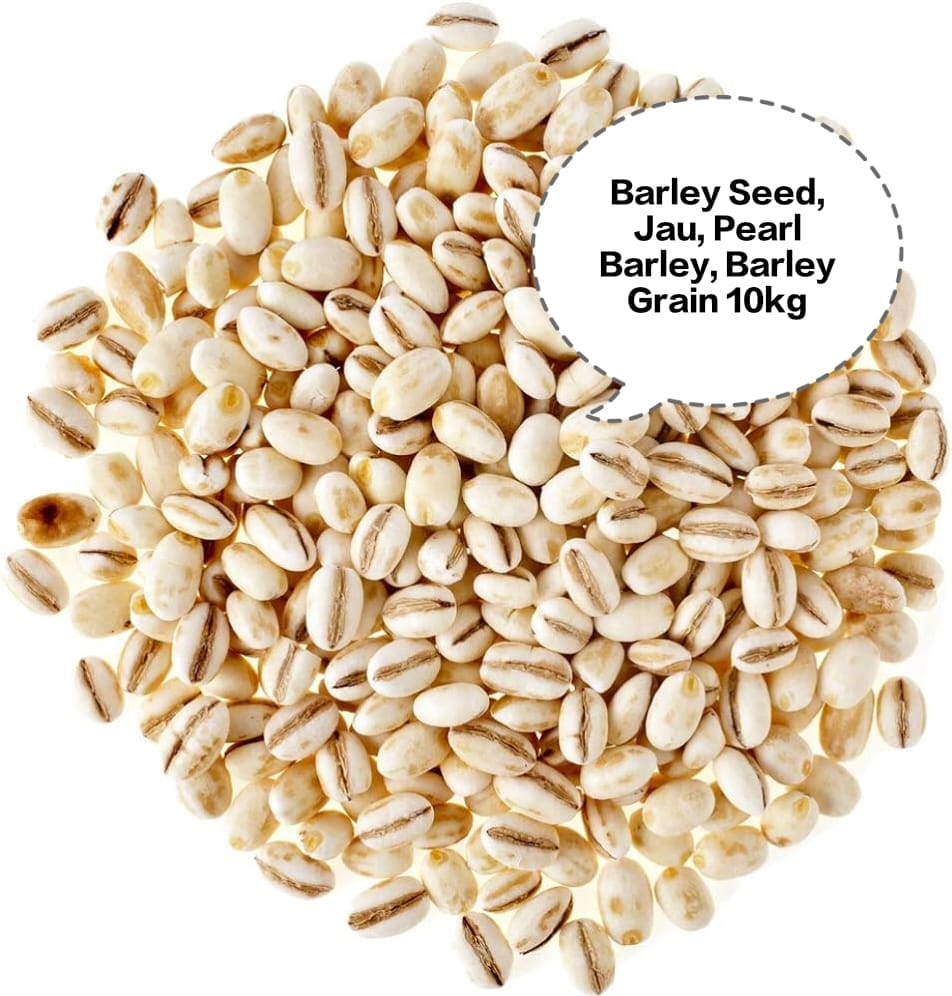 Barley Seed, Jau, Pearl Barley, Barley Grain, Jau Dana 10kg