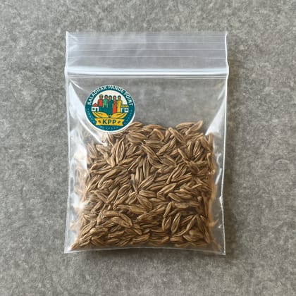 Kaladhar Pande Point's cumin seeds