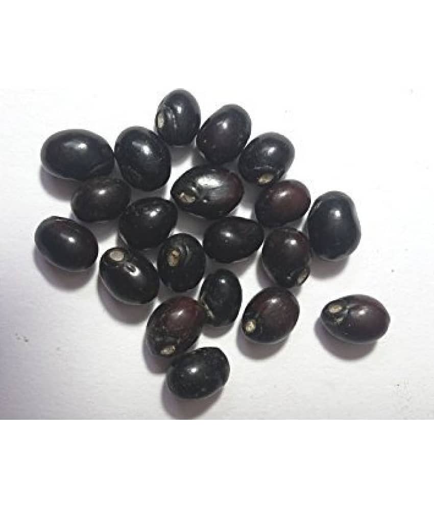PE - Pure and Original Rare Chirmi Seeds - Black Chirmi Gurinvida Beads Ratti Gumchi Madhuyastika for Lakshmi Mahakali and Saraswati - 51 Seeds