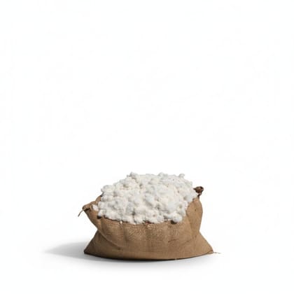 Raw Cotton Fiber in Jute Sack - 10 kg - One sack of raw cotton