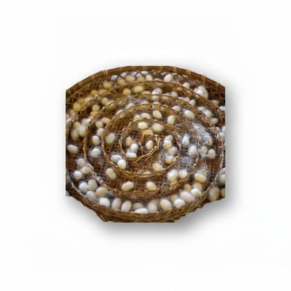 Natural Silkworm Cocoons - 1 kg - One box of silkworm cocoons