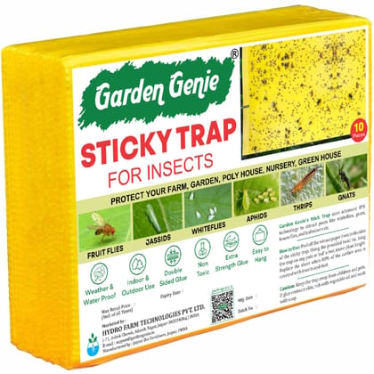 Garden Genie Yellow Sticky Trap for Insects 10 Traps (150x200mm) | Double Sided Glue Trap/Fly Trap/Insect Catcher/Sticky Pads for Flying Insects, Thrips, White Flies Etc | Suitable for Gardens & Farms Garden Genie Yellow Sticky Trap for Insects 10 Traps (150x200mm) | Double Sided Glue Trap/Fly Trap/Insect Catcher/Sticky Pads for Flying Insects, Thrips, White Flies Etc | Suitable for Gardens & Farms